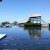 Your first look at the Front Lagoon, dolphins, and the beautiful, natural environment of Florida Bay where DRC is located. Your first look at the Front Lagoon, dolphins, and the beautiful, natural environment of Florida Bay where DRC is located.