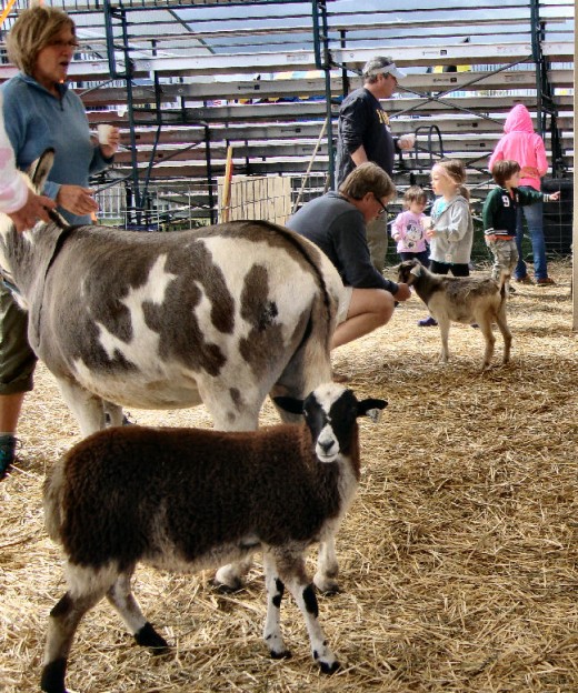 Children (and their parents) really enjoyed meeting the animals