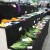 Squash and greens and yards of winners Squash and greens and yards of winners