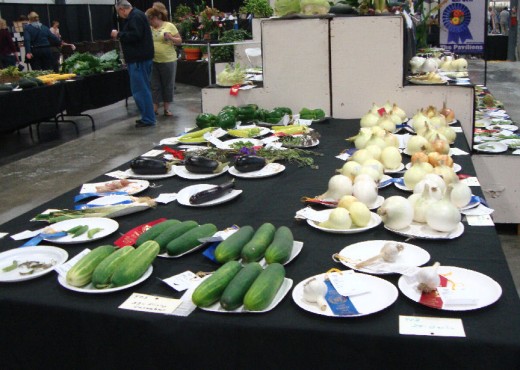 More winning produce
