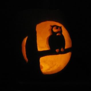 an owl