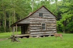 Build A Log Cabin