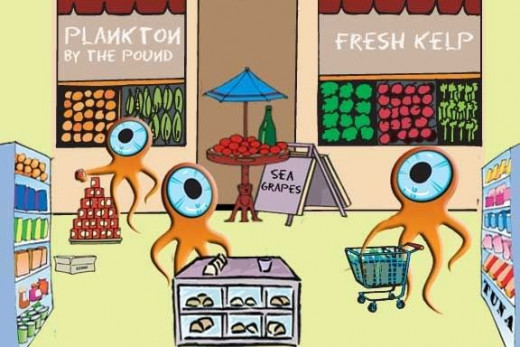 Squal-Mart in Squidville