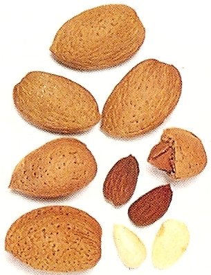 Almonds