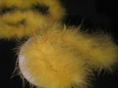Go in circles - winding the boa around the ball. You won't need a ton of pins but make sure it won't fall off either.