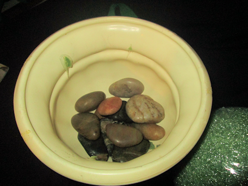 Place rocks of marbles in the bottom for weight. Don't use too many or you won't be able to press the ball down far enough.
