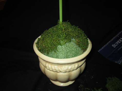 I did it in sections and used my hot glue gun (with foam glue sticks) to secure the moss.