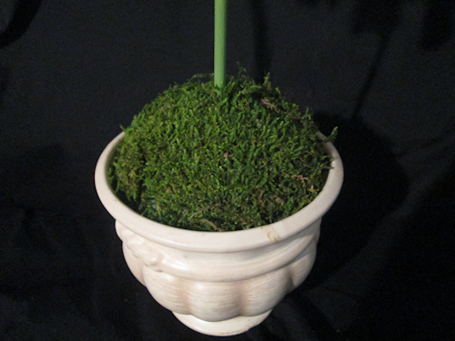 Tada! Moss is now glued in place.