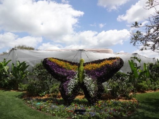 Butterfly Topiary at Epcot