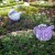 Part of the English Tea Garden Display at the United Kingdom