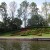 Sensational Sculpting on the Lush Green Lawn