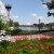 Brightly Colored Blooms Surrounding World Showcase Lagoon