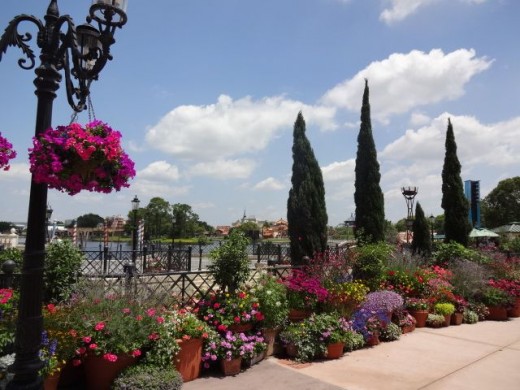 Brightly Colored Blooms Surrounding World Showcase Lagoon