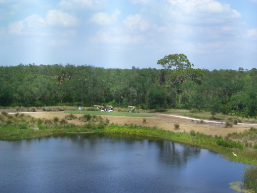 Golf Course View from our Villa Balcony at Hyatt Coconut Plantation ~ Bonita Springs