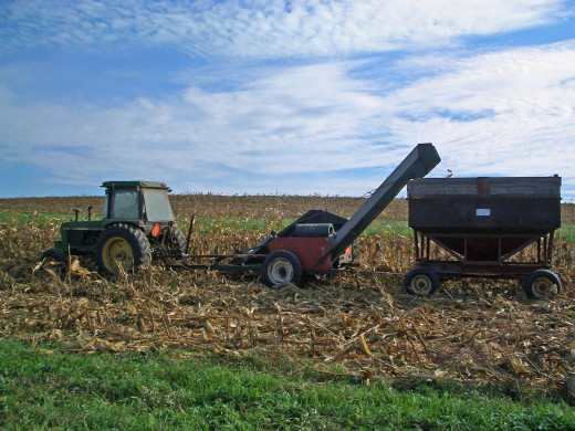 My Dad Working the Fields