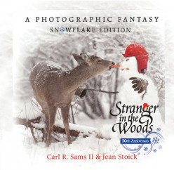 Stranger in the Woods - An Enchanted Snowman's Woodland Adventure
