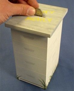 Honey Money Bee Hive Box Bank