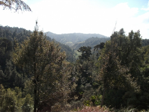 Looking Through The Ridges Scenery. Photo Credit - Elsie Hagley.