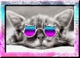 Cats eyes. Photo Credit - Elsie Hagley.
