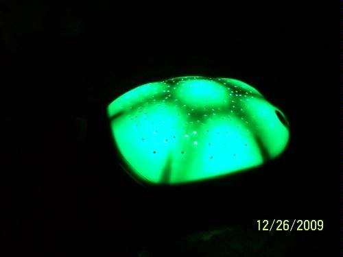 What the turtle looks like when he glows!