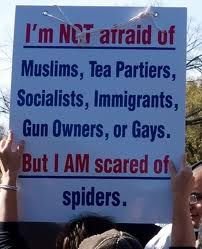 Afraid of spiders