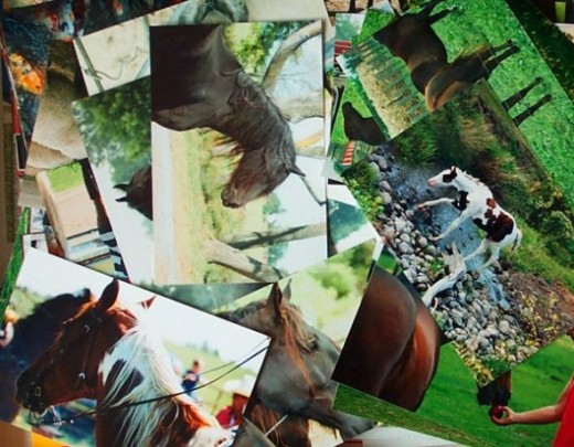 Pile of reference photos
