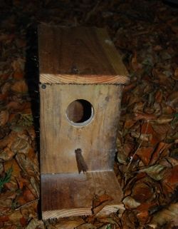 how to make a birdhouse