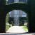 An arch in a yew hedge