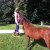 My Daughter just loves being around these gorgeous animals My Daughter just loves being around these gorgeous animals
