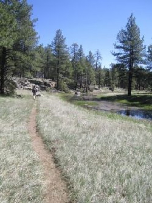 The Best Short Day Hikes in Flagstaff, Arizona The Best Short Day Hikes in Flagstaff, Arizona