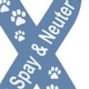petmeds profile image