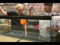 Mythbusters