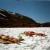 Only in Norway. Two of my good friends sunbathing. On top of a sheet of snow. In June. What a wonderful place! Only in Norway. Two of my good friends sunbathing. On top of a sheet of snow. In June. What a wonderful place!
