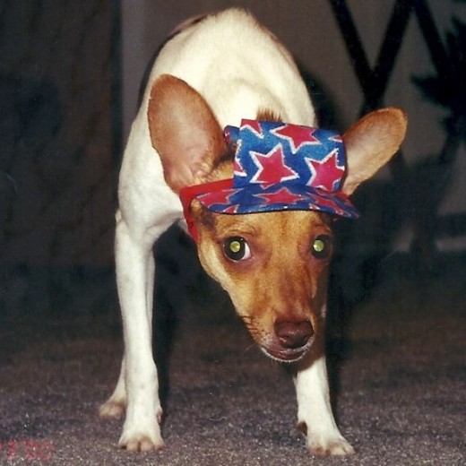 Pet pictures are the best...