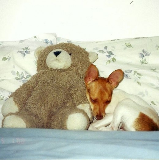 Ok, so she does love to cuddle.  When she's sleepy.