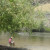 Nature definitely quiets me...stills my mind so I can hear the truth. image: Christine writes in the river by juliejordanscott on Flickr Creative Commons Nature definitely quiets me...stills my mind so I can hear the truth. image: Christine writes in the river by juliejordanscott on Flickr Creative Commons