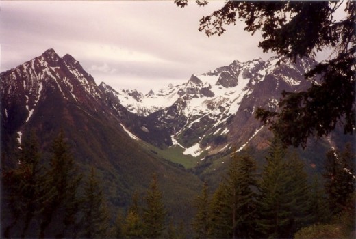 Okay, you caught me!  I don't remember which mountain this is!  It might be Copper Basin...  It's definitely from Holden Village in the Cascades!  And it's definitely beautiful.