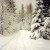 Just beyond the edge of the village, a snowy wonderland. Just beyond the edge of the village, a snowy wonderland.