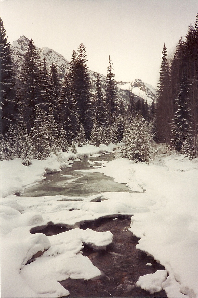 Railroad Creek in snowy glory.