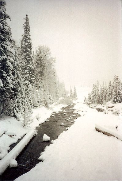 And even more Railroad Creek!