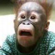 jepkins profile image