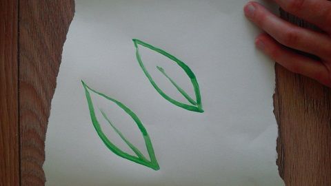 Painting the outline of the leaves