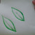 Painting the outline of the leaves