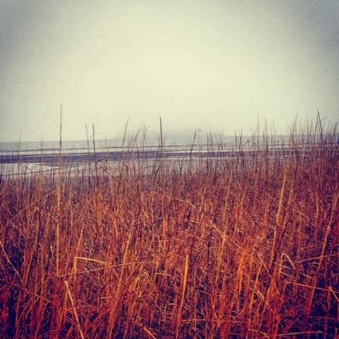 A curtain of fog veils Charles Island in Milford, CT on Long Island Sound. 