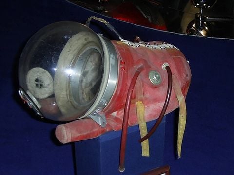 Laika sailed into space wearing a spacesuit like this one on display at the Moscow Space Museum.