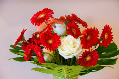 Bright red gerber daisies with soft open-faced roses sitting on monstera leaves.