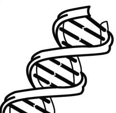 DNA