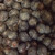 The Blueberries - don't forget to wash them. The Blueberries - don't forget to wash them.