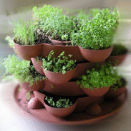 How To Grow Vegetables Indoors | hubpages