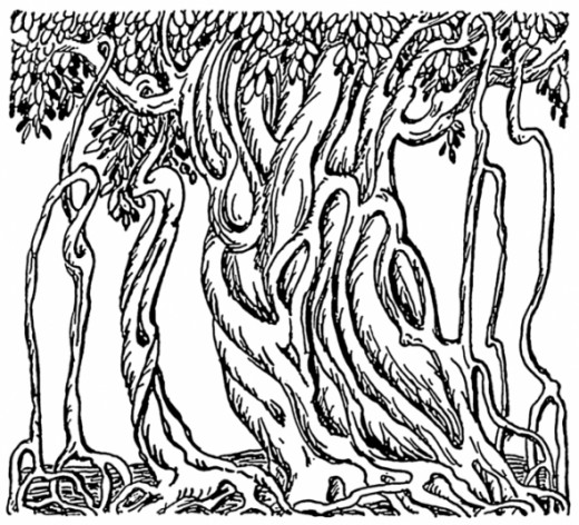 Nature Coloring Pages and Sheets for Kids and Adults